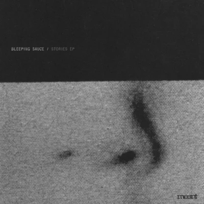 MEANT020_1_600 Stories EP