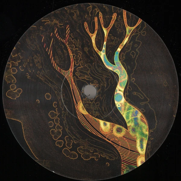 Dod yn ôl at fy nghoed Vol.2