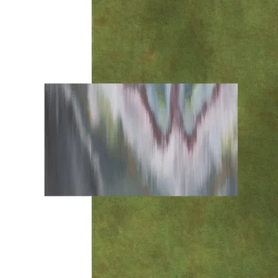 NSP06_1_600 Visioni fuggitive