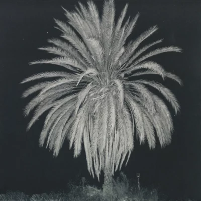 PANO01_1_600 OP-5 Story