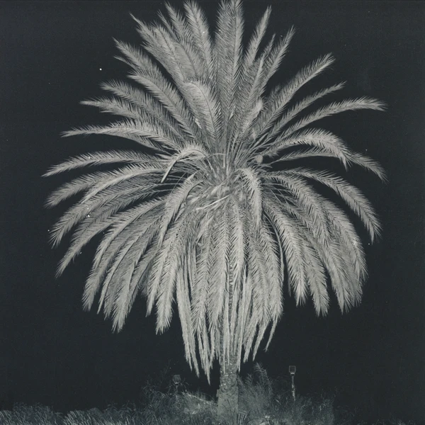 PANO01_1_600 OP-5 Story