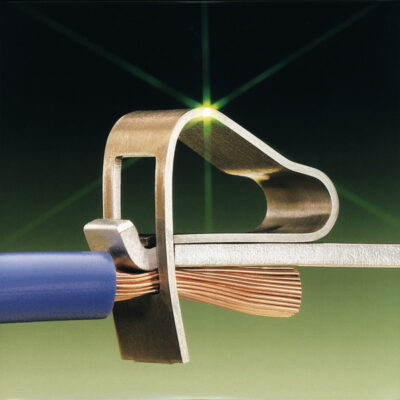 Lastday Cookie 3 x12"