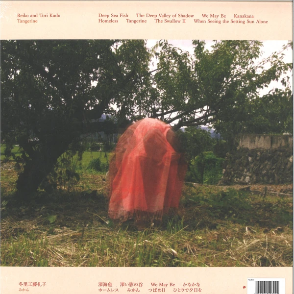 ACOLOUR036_2_600 Tangerine