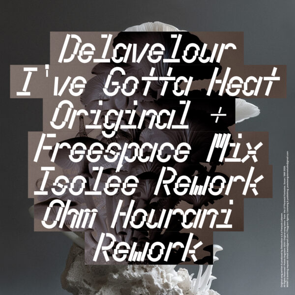 Delavelour ''I've Gotta Heat'' Remixes by Isolée and Ohm Hourani