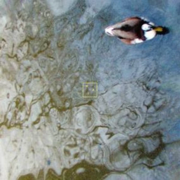 MAT20_2_600 ABOUT YOU