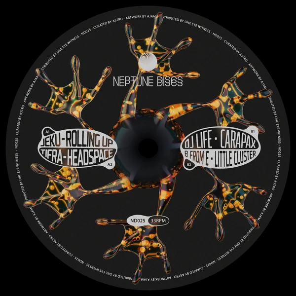 Next Vinyl Release on Neptune Discs