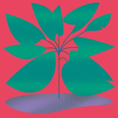 OB.M014_1_600 On Board 10 LP 2x12