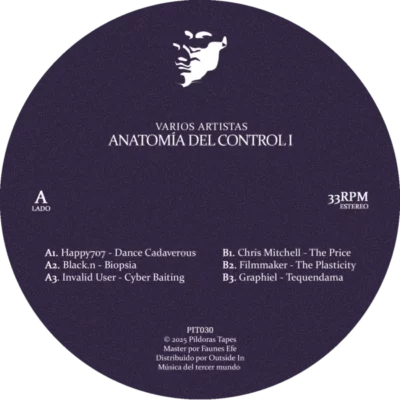 PIT030_1_600 Anatomía del Control I