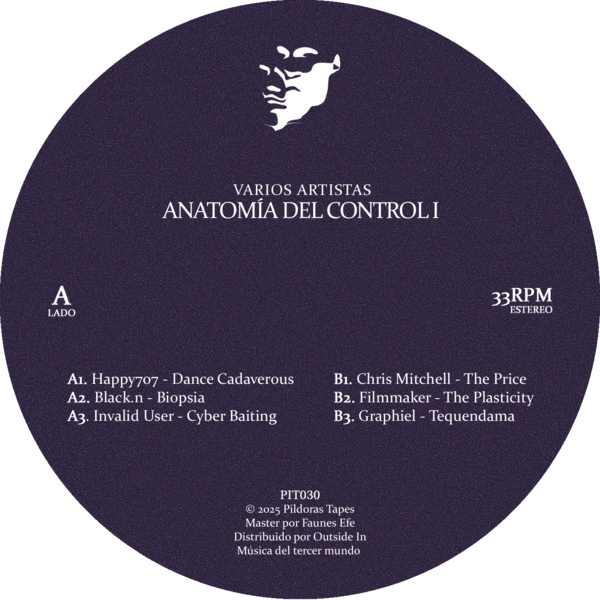 Anatomía del Control I