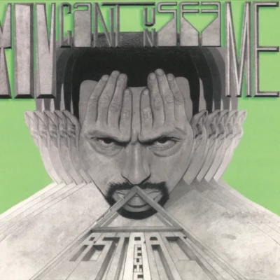 You Can't Unsee Me LP