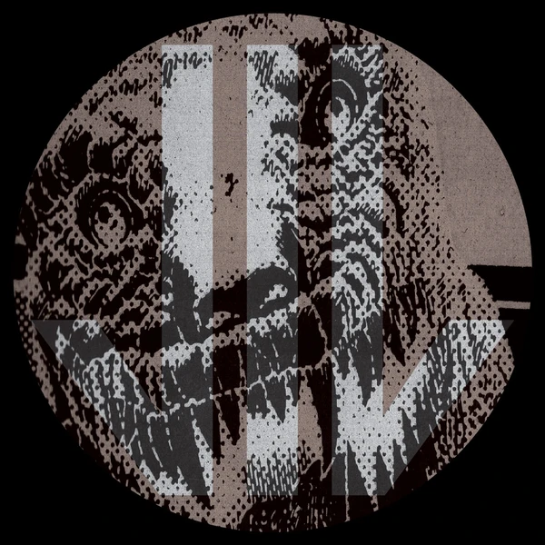 VILREC006_2_600 Fuck This Sound / Electric.Job