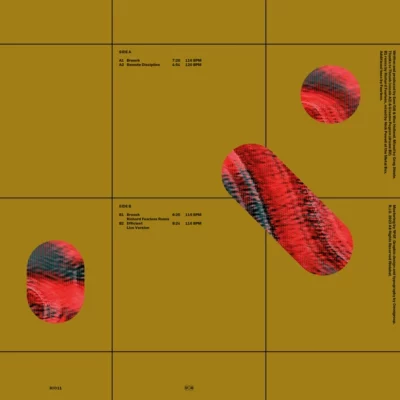 RIO11_1_600 Areas Of Uncertainty