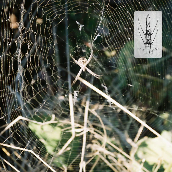 UL011_1_600 UNMASKED EP