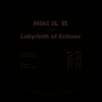 Labyrinth of Echoes
