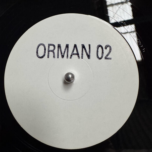 Orman 02