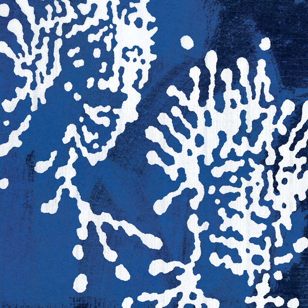 MAGIC003_1_600 Dream