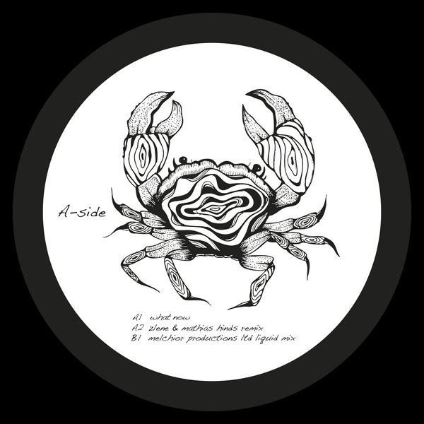 SEAWEED006_2_600 Shadi Megallaa - What Now