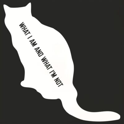 What I Am And What I'm Not lp