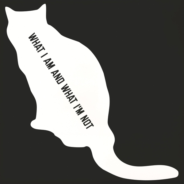 SQM029_1_600 What I Am And What I'm Not lp