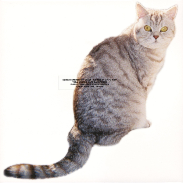 SQM029_2_600 What I Am And What I'm Not lp