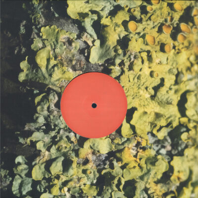 Short1_1_600 The Fool