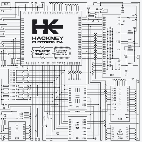 DE-338_1_600 Dark Entries - Synaptic