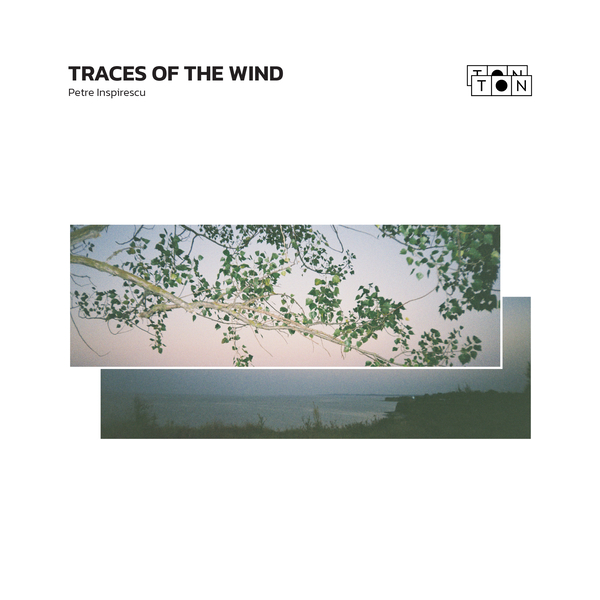 Traces of the wind