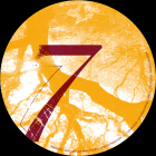 Healthy Obsession EP