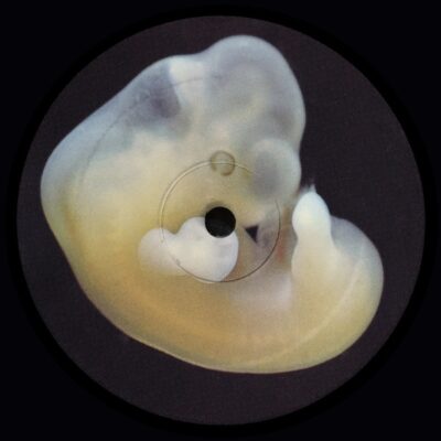 Aniara035_1_600 Earth Creatures