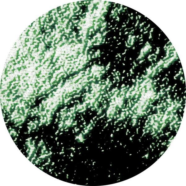 GRN004_1_600 Reasons