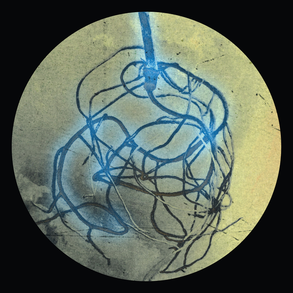 ZON005_2_600 The Roots EP