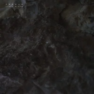 7V200_1_600 Cloud Bloom