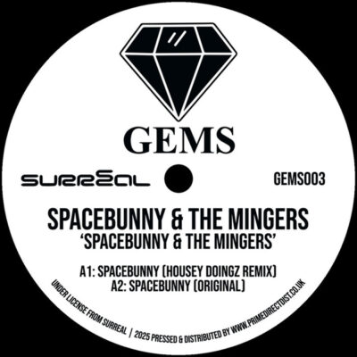 Spacebunny / Fancy A Shag