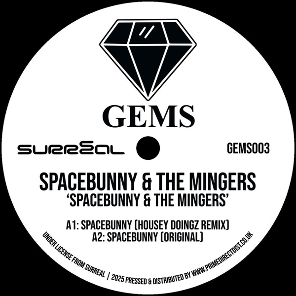 Spacebunny / Fancy A Shag