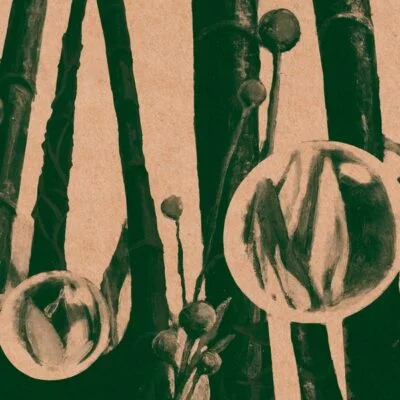 Lapsus Records - Through Friendly Waters [20th Anniversary Edition]