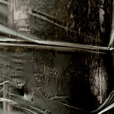 RHIZA004_2_600 Yildizlara