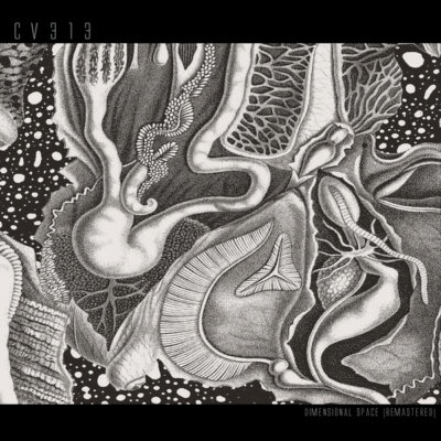 cv313-LP-RE_1_600 Dimensional Space