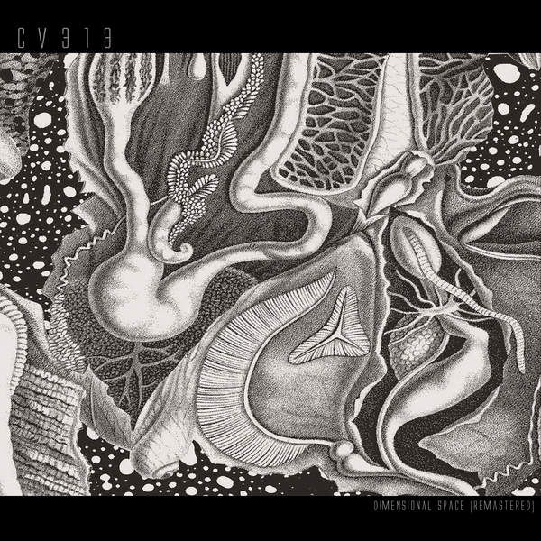 cv313-LP-RE_1_600 Dimensional Space