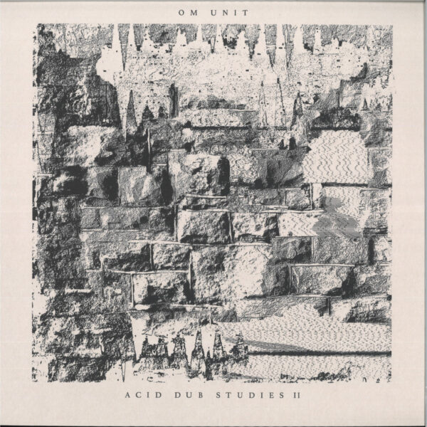 Acid Dub Studies II LP