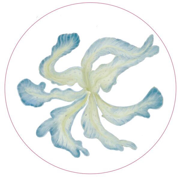 CC05_1 Ski Jacket 87