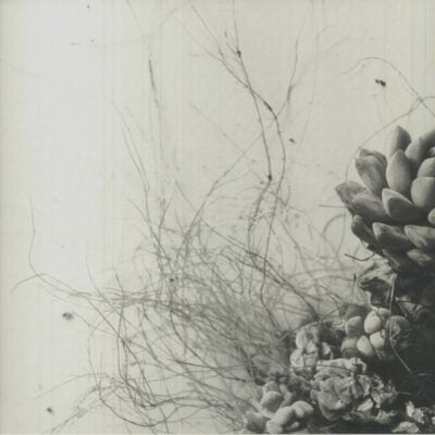 PRTLL001_1_600 Unfold