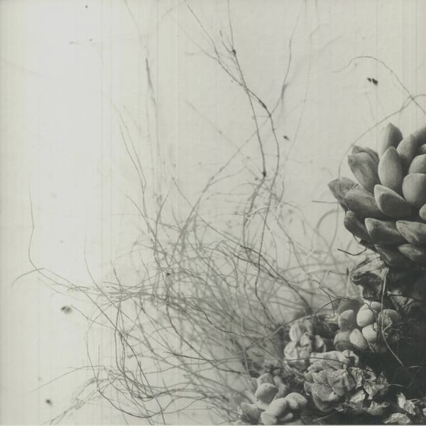 PRTLL001_1_600 Unfold