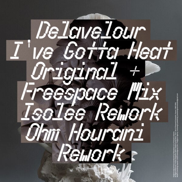 Delavelour ''I've Gotta Heat'' Remixes  by Isolée and Ohm Hourani