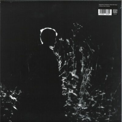 A Body Like a Home LP