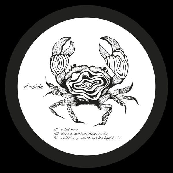 Shadi Megallaa - What Now