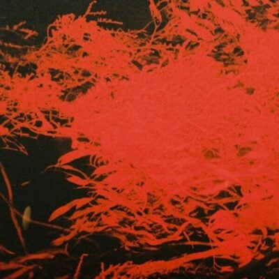 In Studio Magic (LP)