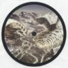 Andy Martin / Christian Coiffure Split
