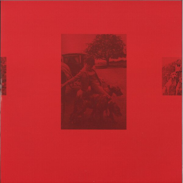 Carnedd Dafydd (David’s Cairn)