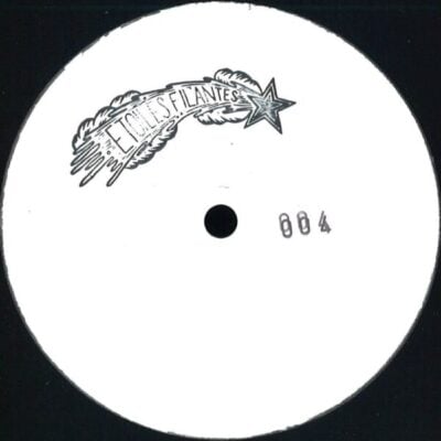 R2PEF04 Etoiles Filantes 04