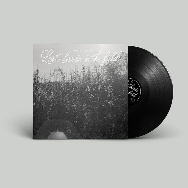 Lost berries in the fields